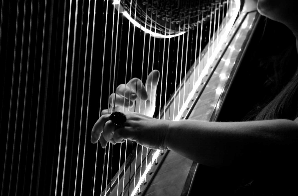 harpe revisitee - M'Road Event